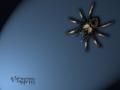 Araigne 002